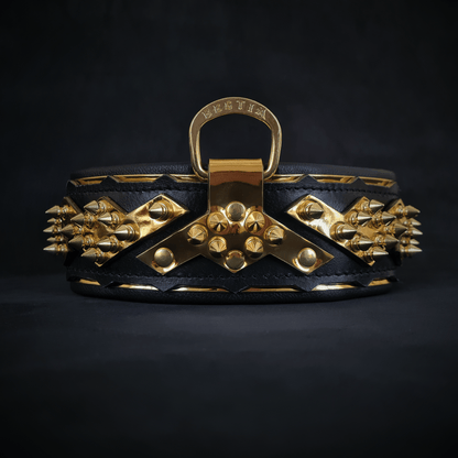 The ''Midas'' Collar Gold - Tampa Home & Garden Store