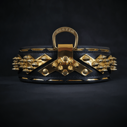 The ''Midas'' Collar Gold - Tampa Home & Garden Store