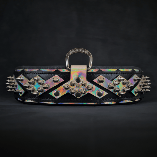 The ''Midas'' Collar Silver - Tampa Home & Garden Store