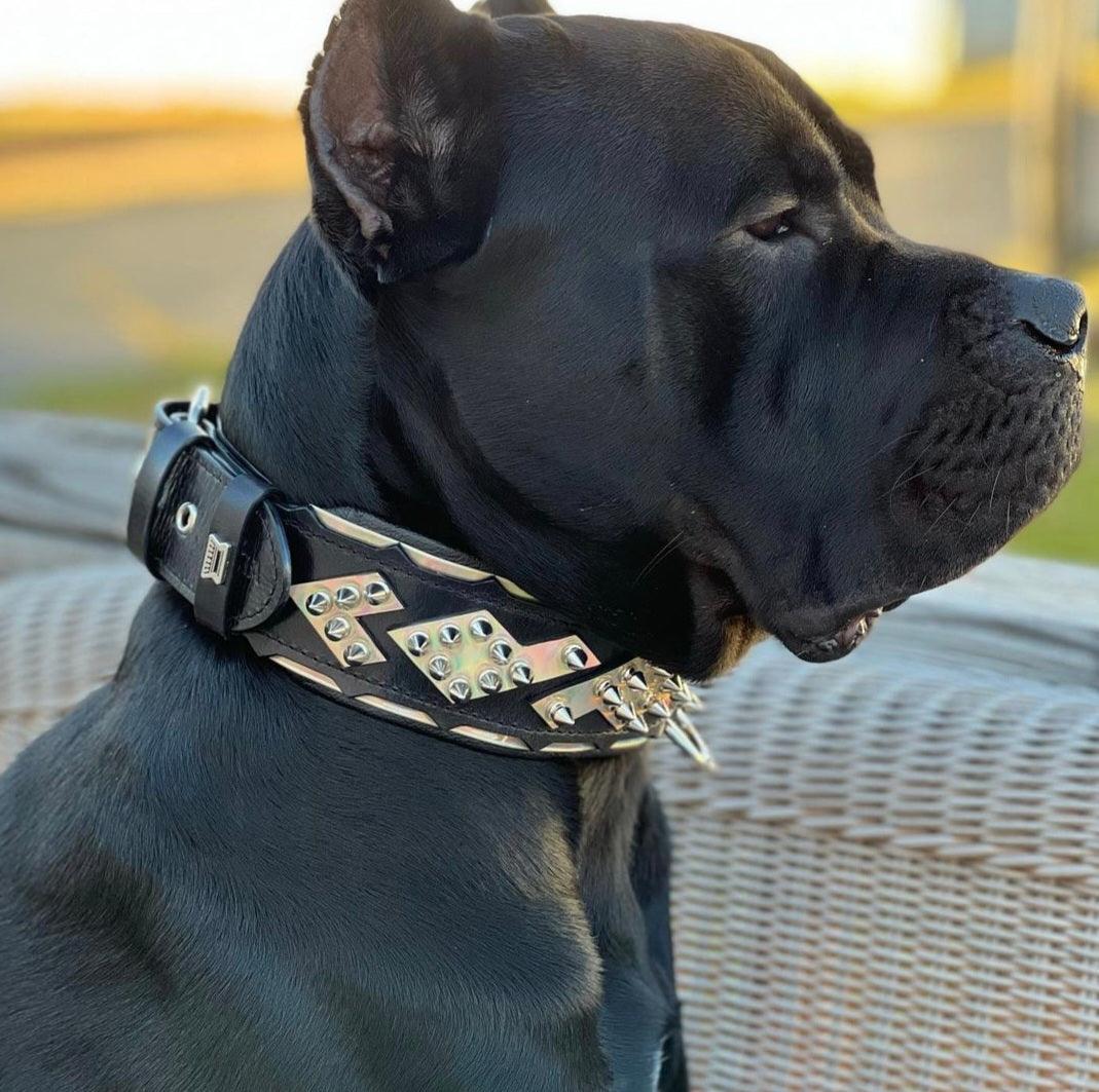 The ''Midas'' Collar Silver - Tampa Home & Garden Store