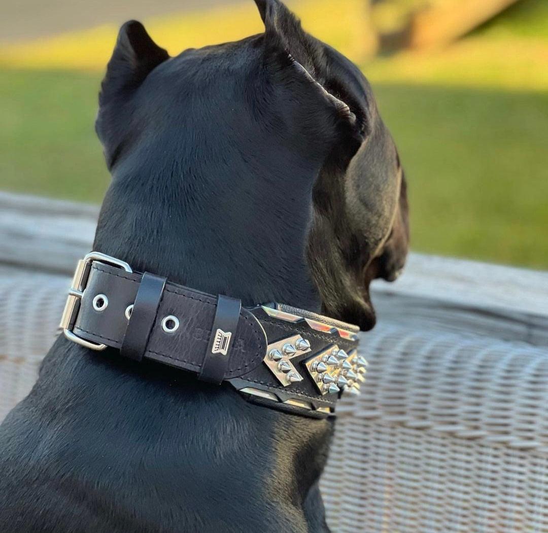 The ''Midas'' Collar Silver - Tampa Home & Garden Store