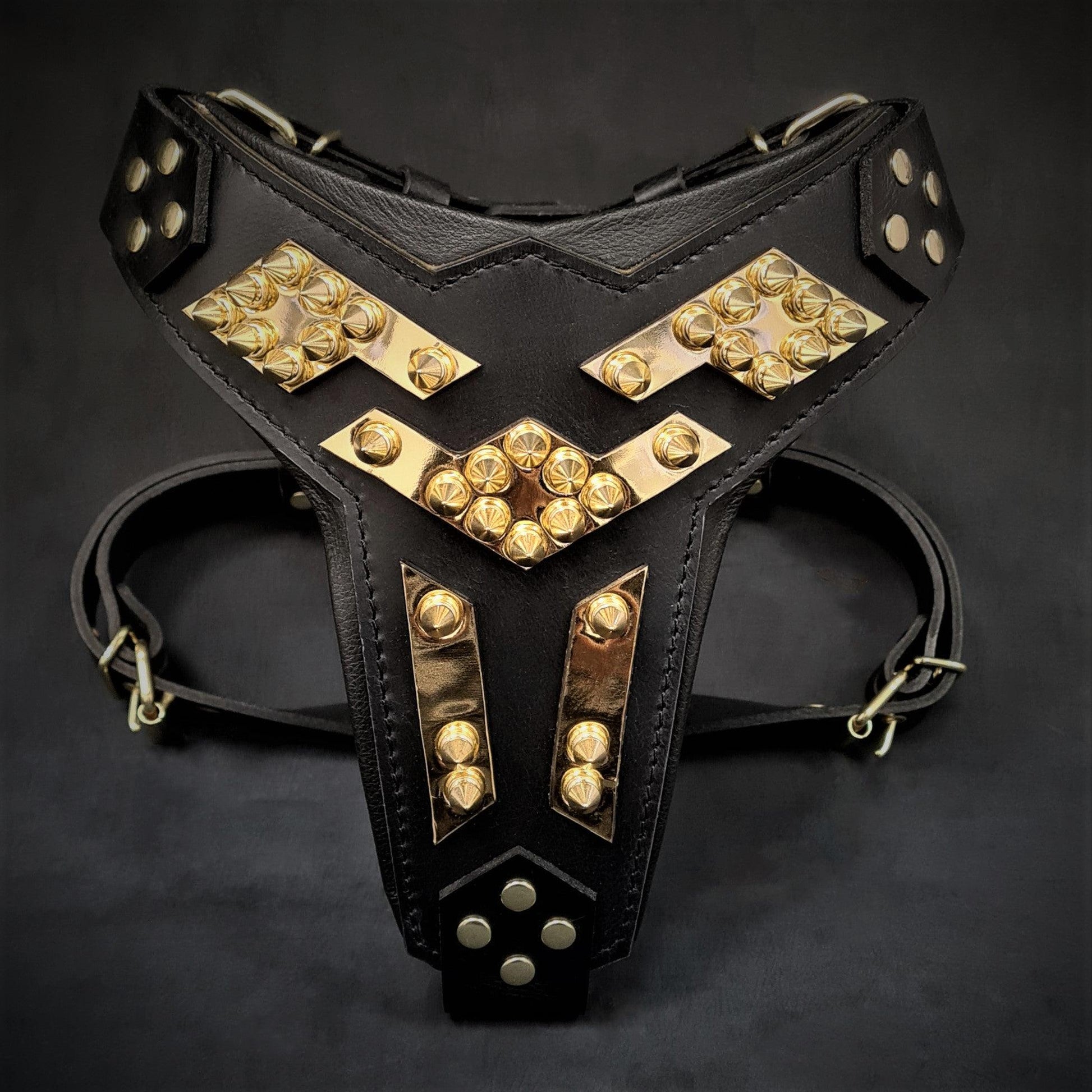 The ''Midas'' leather dog harness gold - Tampa Home & Garden Store