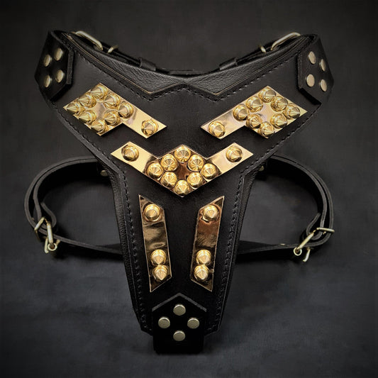 The ''Midas'' leather dog harness gold - Tampa Home & Garden Store