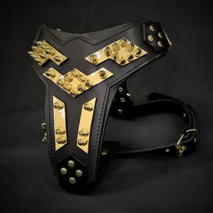 The ''Midas'' leather dog harness gold - Tampa Home & Garden Store