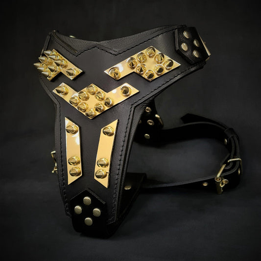 The ''Midas'' leather dog harness gold - Tampa Home & Garden Store