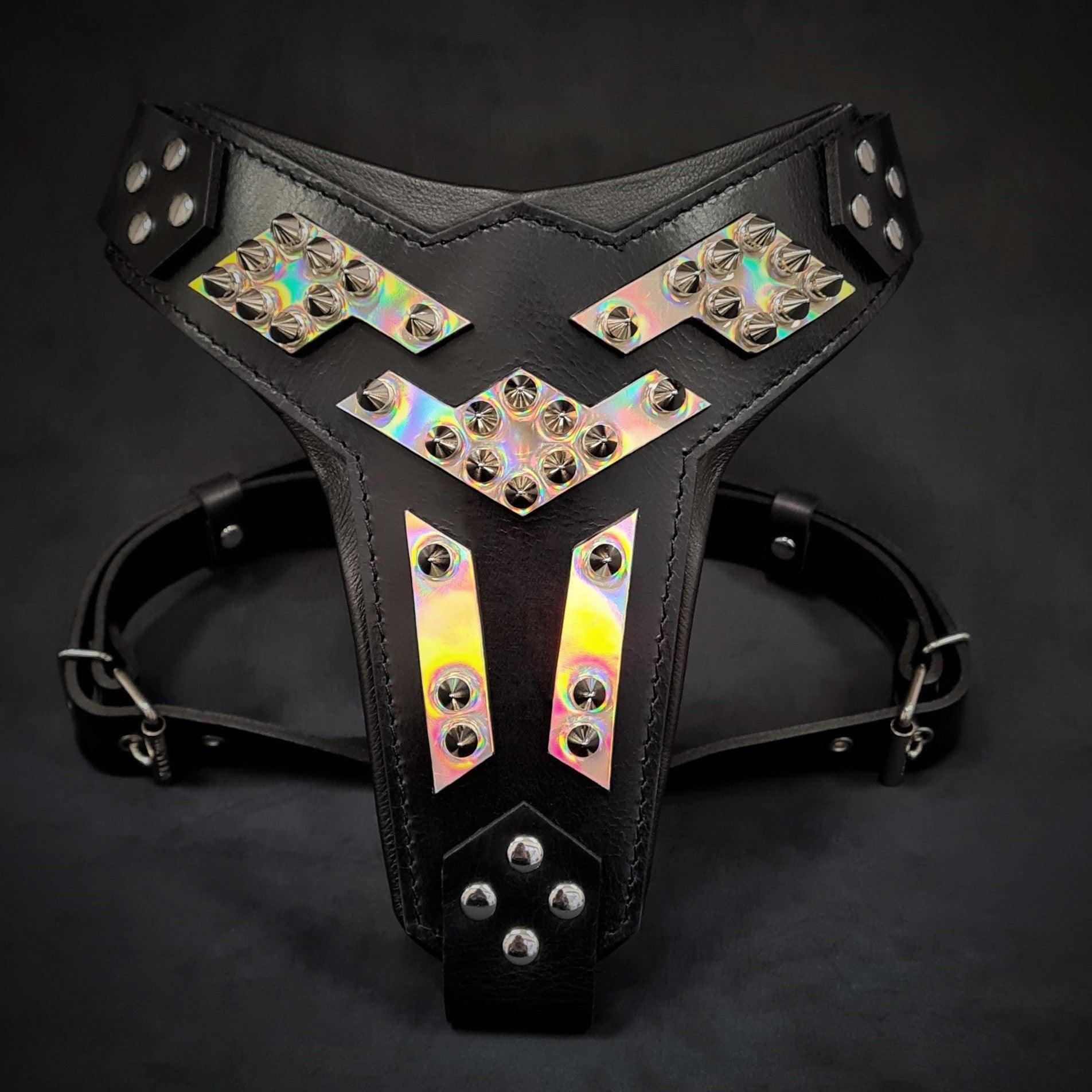 The ''Midas'' leather dog harness silver - Tampa Home & Garden Store
