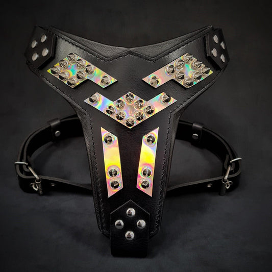 The ''Midas'' leather dog harness silver - Tampa Home & Garden Store