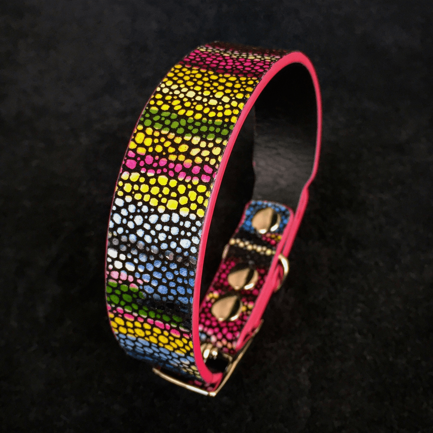The "Moby" puppy collar - Tampa Home & Garden Store