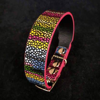 The "Moby" puppy collar - Tampa Home & Garden Store