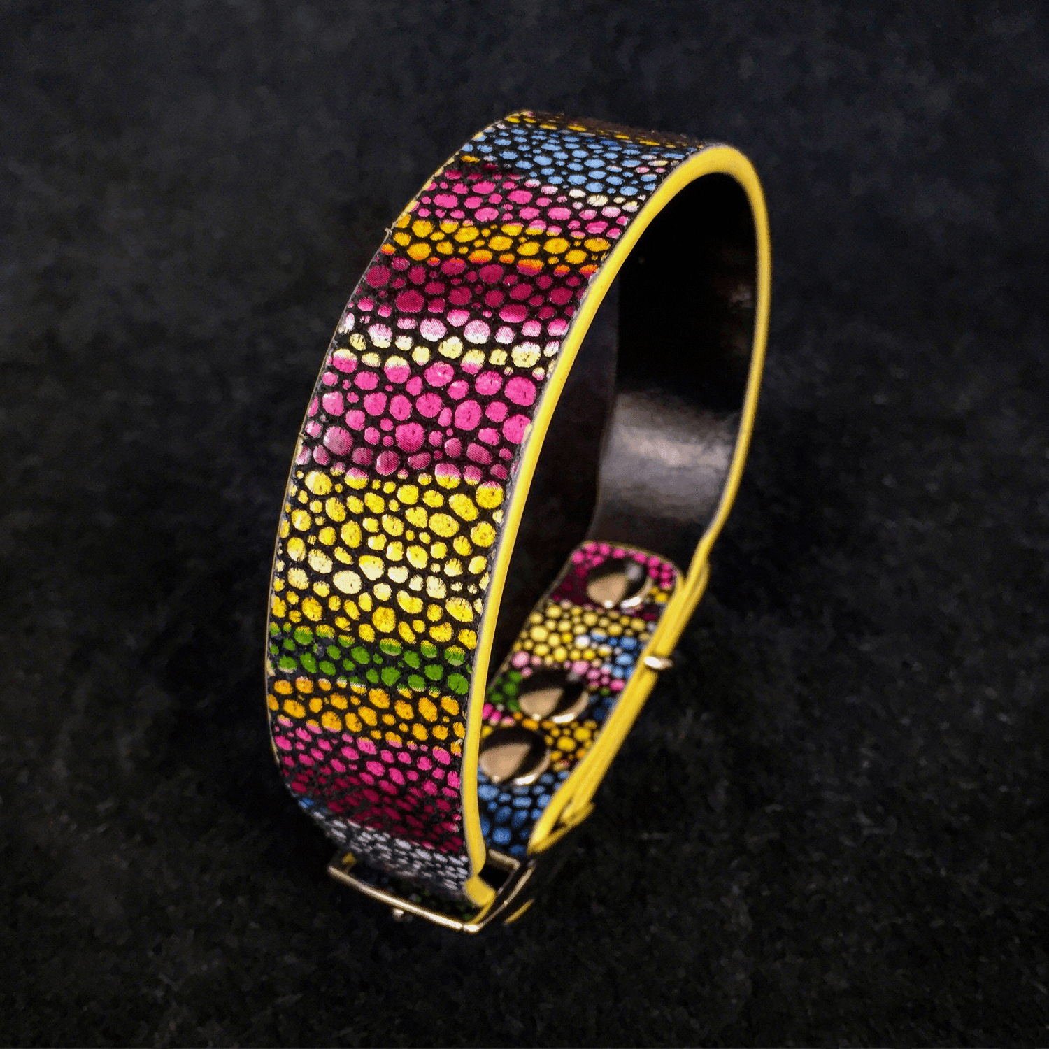 The "Moby" puppy collar - Tampa Home & Garden Store