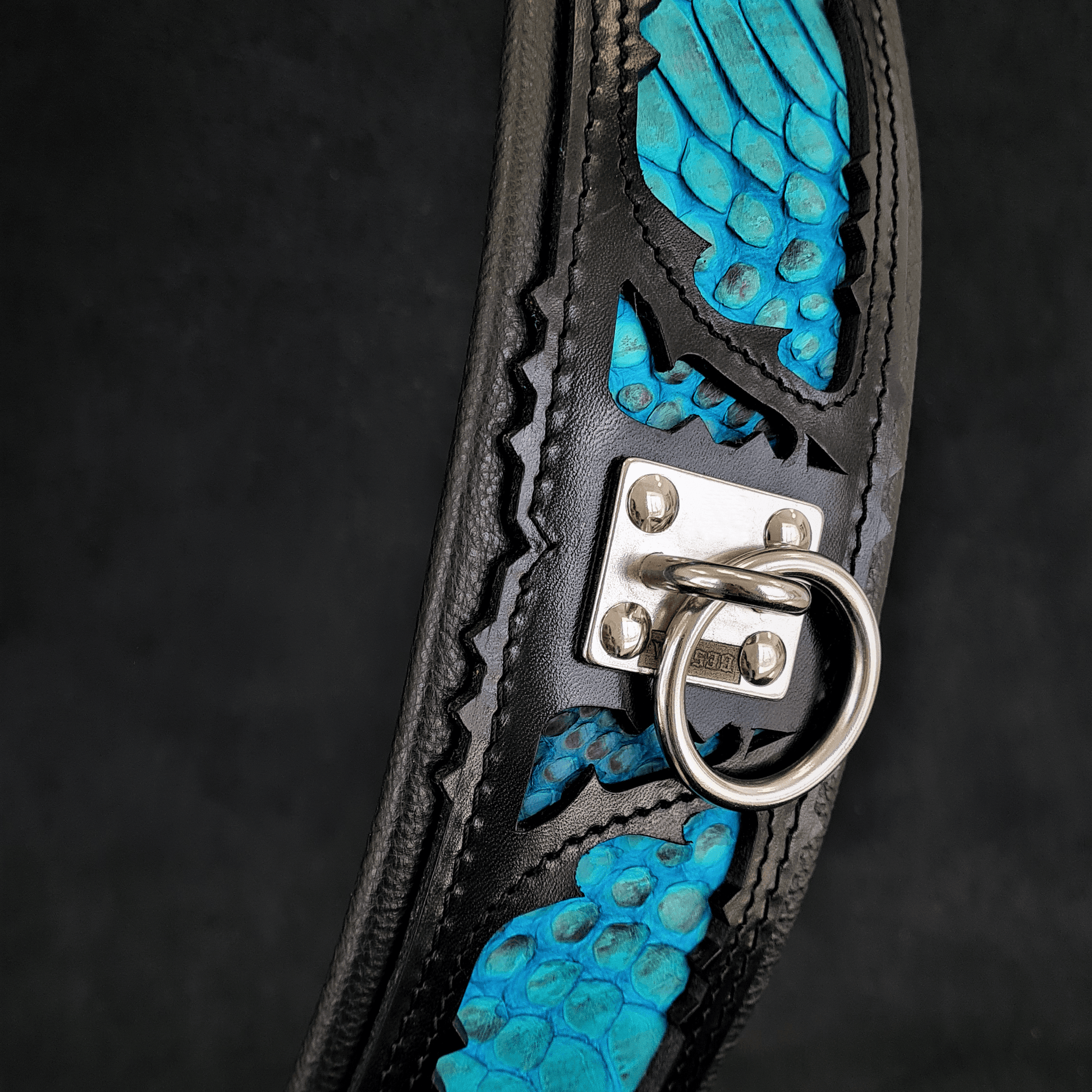 The ''Morelia Python'' collar - Tampa Home & Garden Store