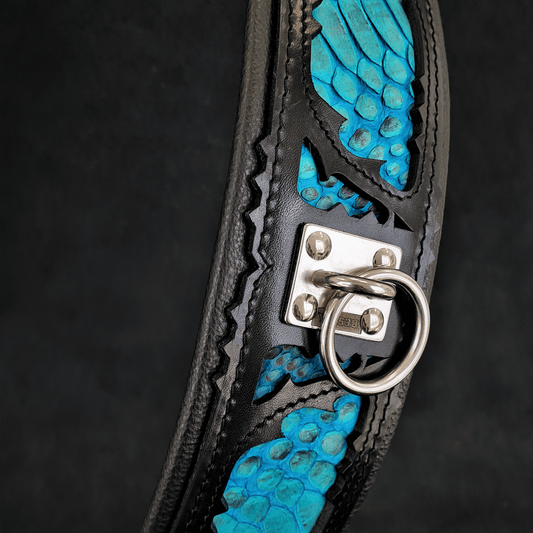 The ''Morelia Python'' collar - Tampa Home & Garden Store
