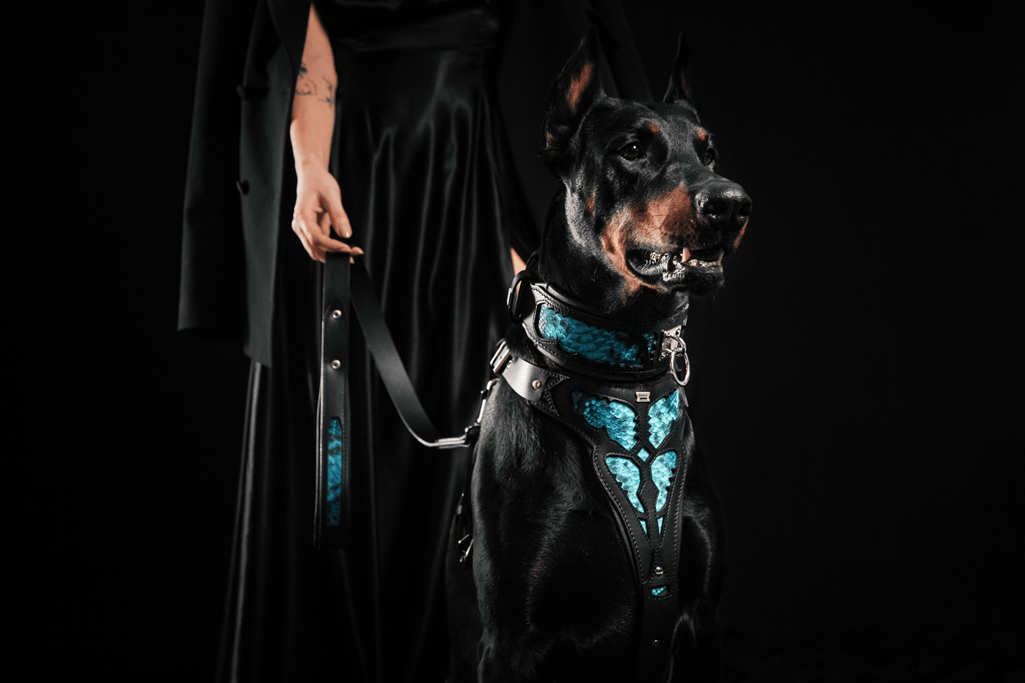 The ''Morelia Python'' collar - Tampa Home & Garden Store