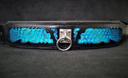 The ''Morelia Python'' collar - Tampa Home & Garden Store