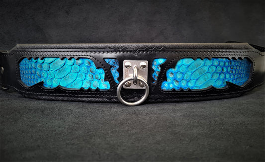 The ''Morelia Python'' collar - Tampa Home & Garden Store