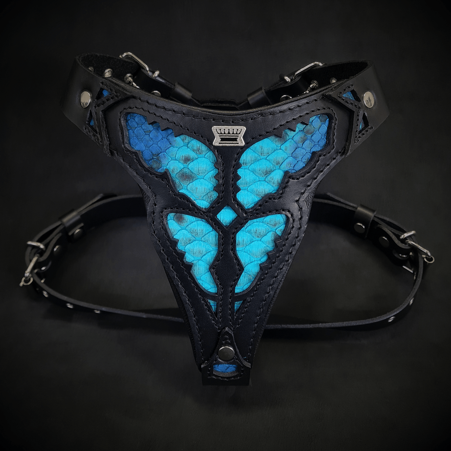 The ''Morelia Python'' harness Medium Size - Tampa Home & Garden Store