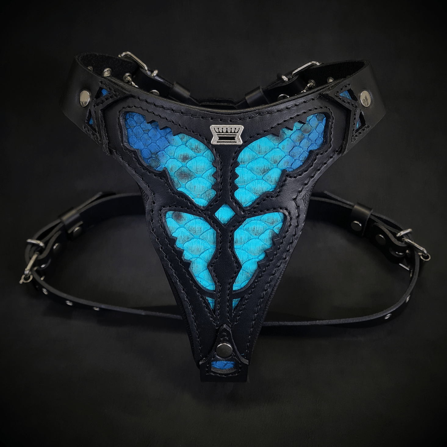 The ''Morelia Python'' harness Medium Size - Tampa Home & Garden Store