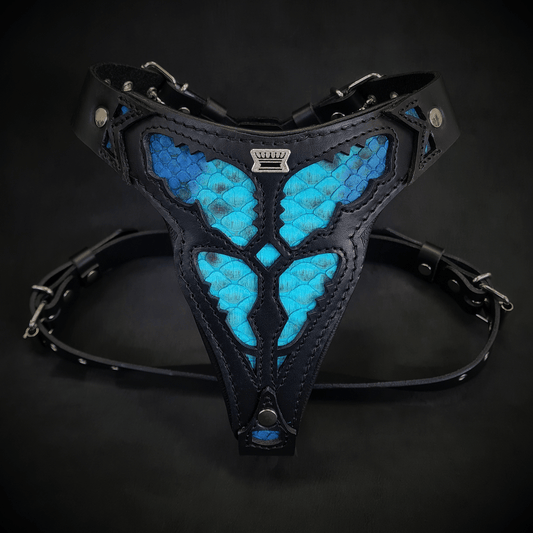 The ''Morelia Python'' harness Medium Size - Tampa Home & Garden Store