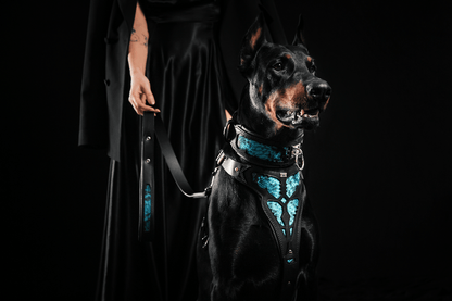 The ''Morelia Python'' harness - Tampa Home & Garden Store