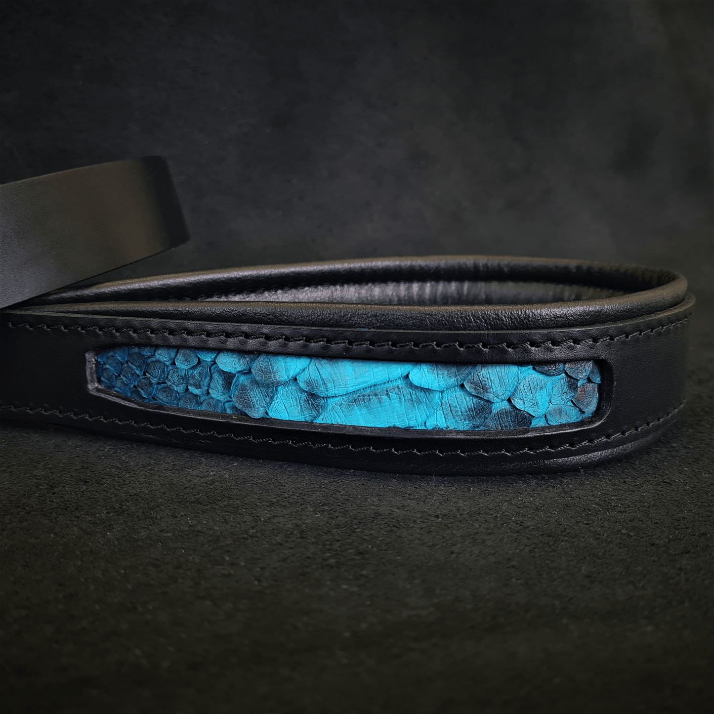 The ''Morelia Python'' leash - Tampa Home & Garden Store