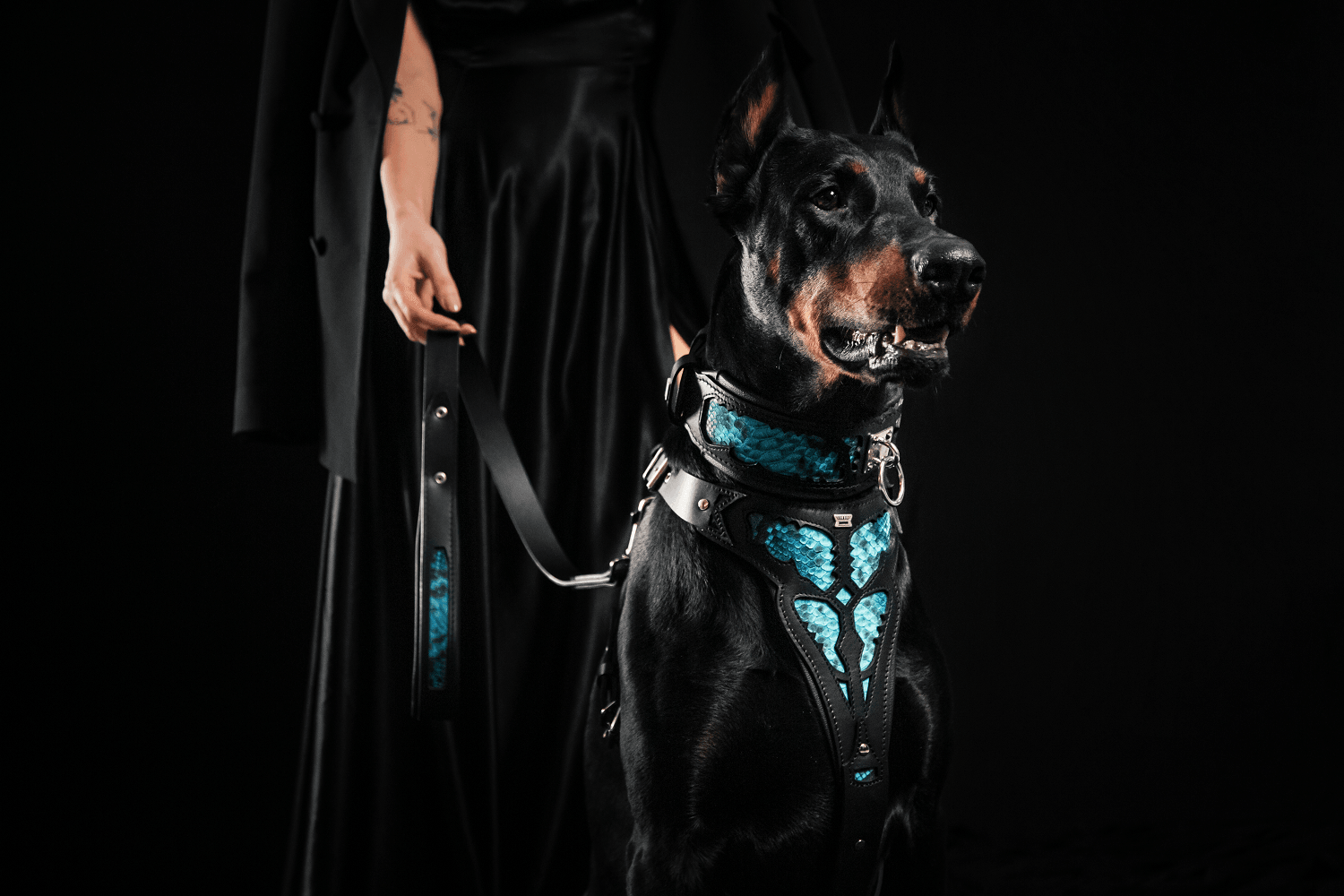 The ''Morelia Python'' leash - Tampa Home & Garden Store