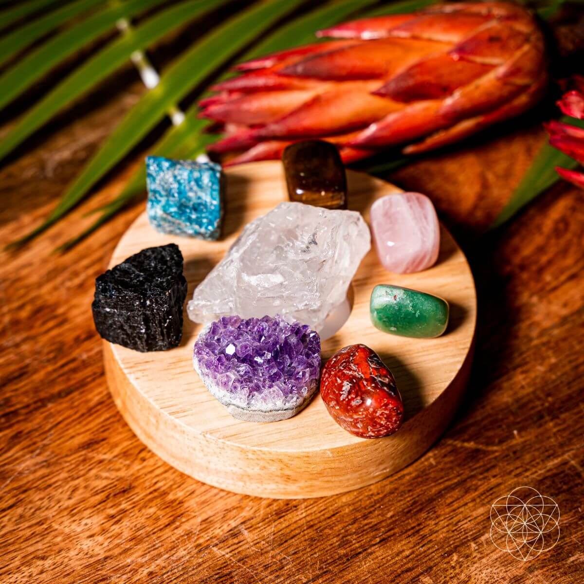 The Natural Energy Lamp - Tampa Home & Garden Store