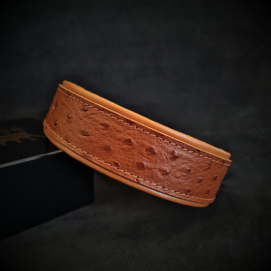 The "Ostrich" collar LIMITED - Tampa Home & Garden Store