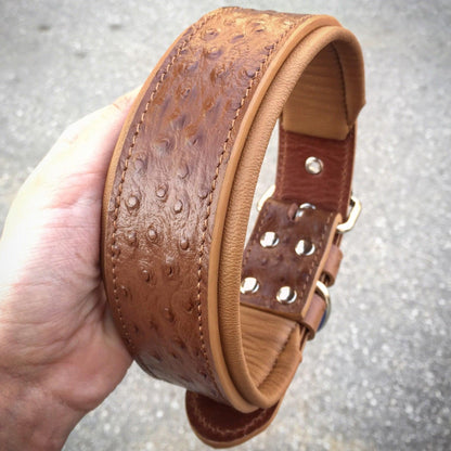 The "Ostrich" collar LIMITED - Tampa Home & Garden Store