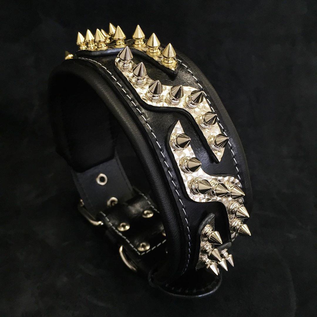The ''Platinum'' collar - Tampa Home & Garden Store