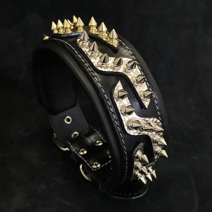 The ''Platinum'' collar - Tampa Home & Garden Store