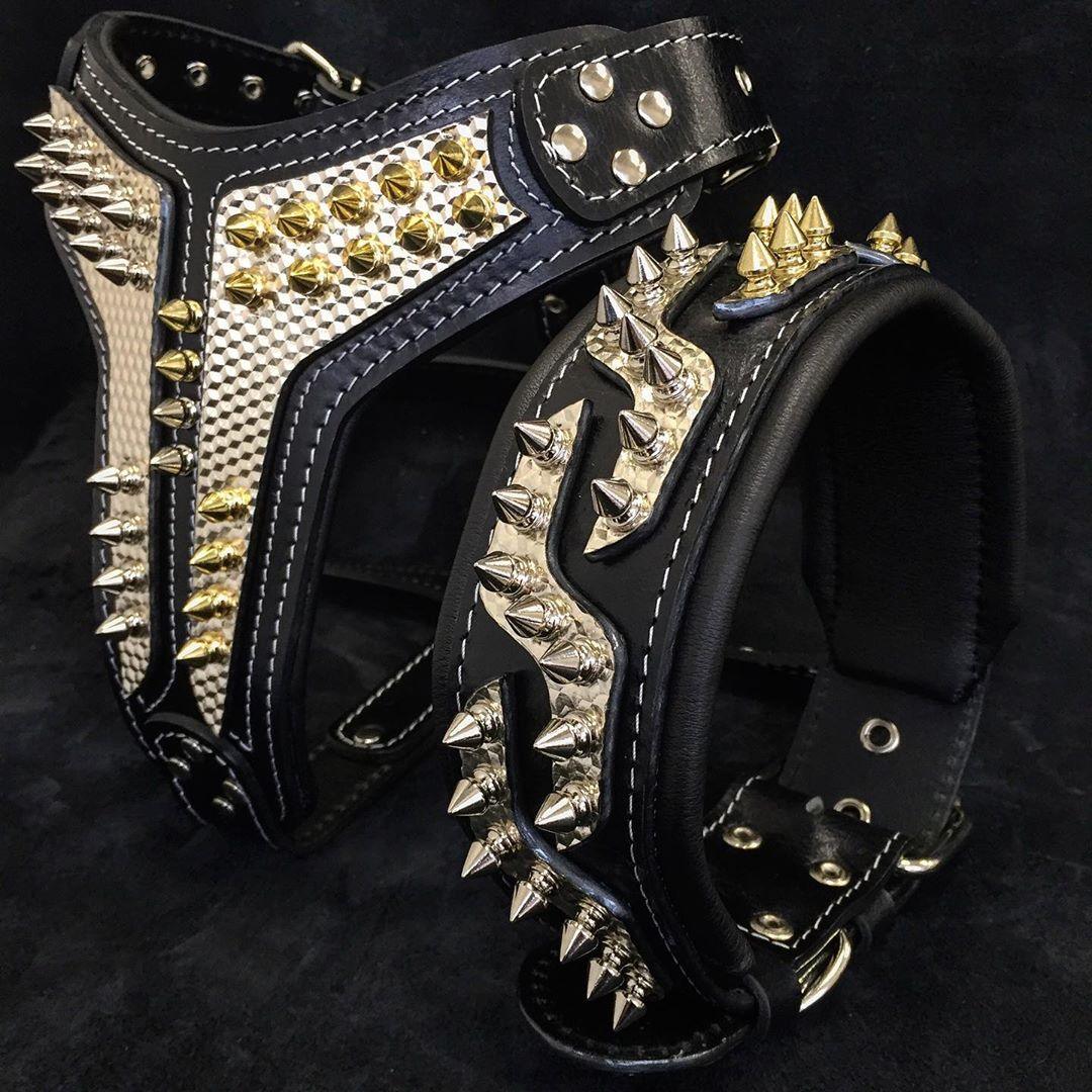The ''Platinum'' collar - Tampa Home & Garden Store