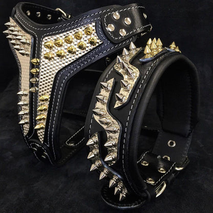 The ''Platinum'' collar - Tampa Home & Garden Store