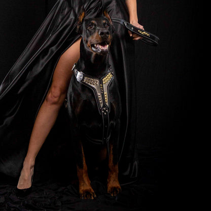 The ''Platinum'' harness - Tampa Home & Garden Store