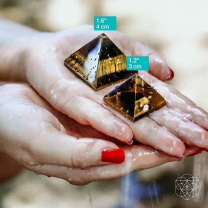 The Pyramid of Focus - Tampa Home & Garden Store