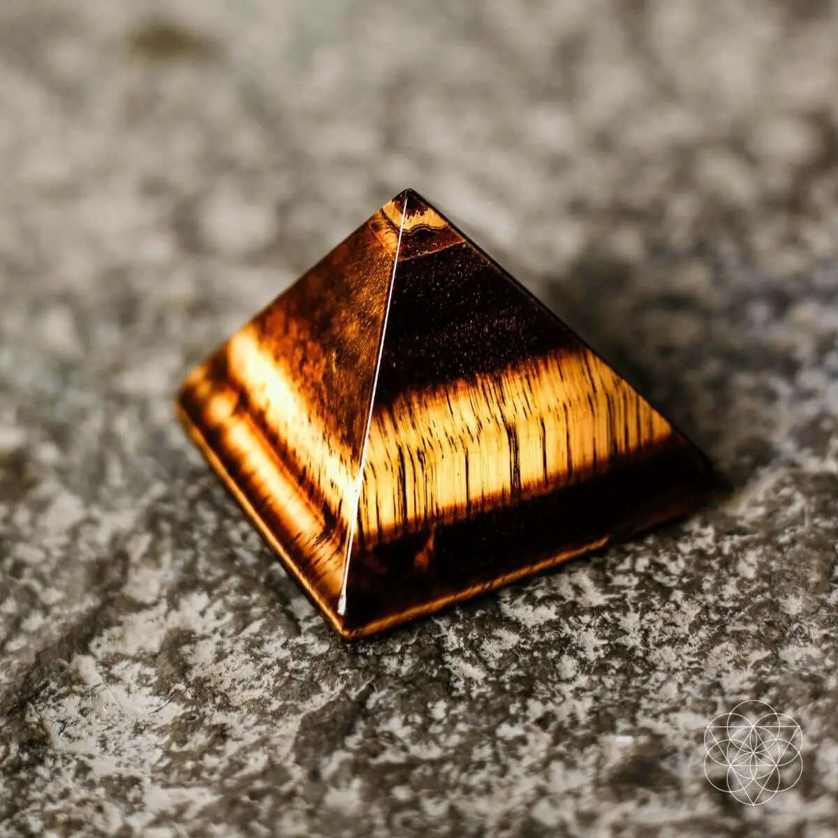 The Pyramid of Focus - Tampa Home & Garden Store