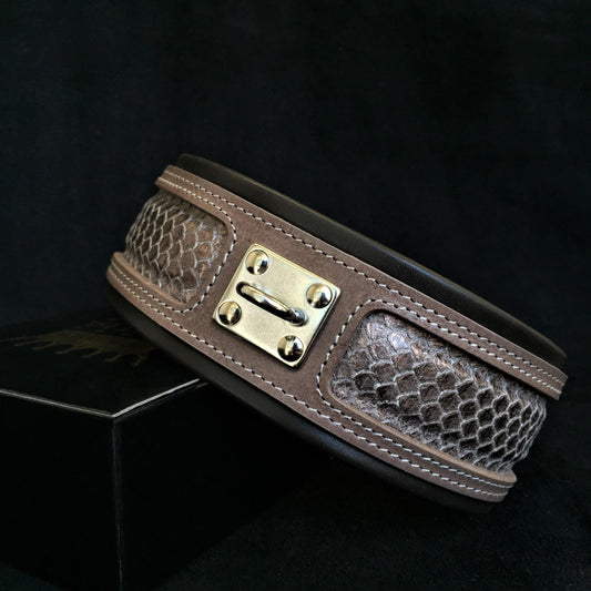 The ''Python'' exclusive design - Tampa Home & Garden Store