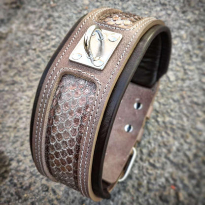 The ''Python'' exclusive design - Tampa Home & Garden Store