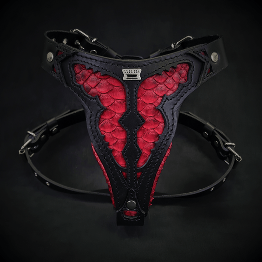 The ''Red Dragon'' harness Medium Size - Tampa Home & Garden Store