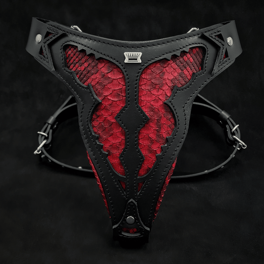 The ''Red Dragon'' harness - Tampa Home & Garden Store