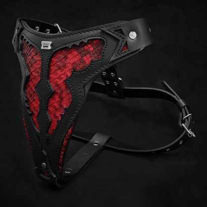 The ''Red Dragon'' harness - Tampa Home & Garden Store