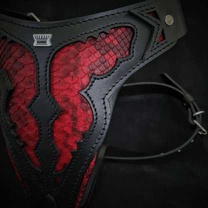 The ''Red Dragon'' harness - Tampa Home & Garden Store