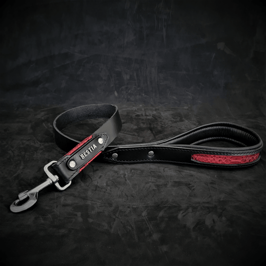 The ''Red Dragon'' leash - Tampa Home & Garden Store