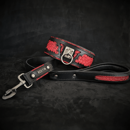 The ''Red Dragon'' leash - Tampa Home & Garden Store