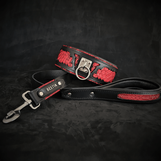 The ''Red Dragon'' leash - Tampa Home & Garden Store