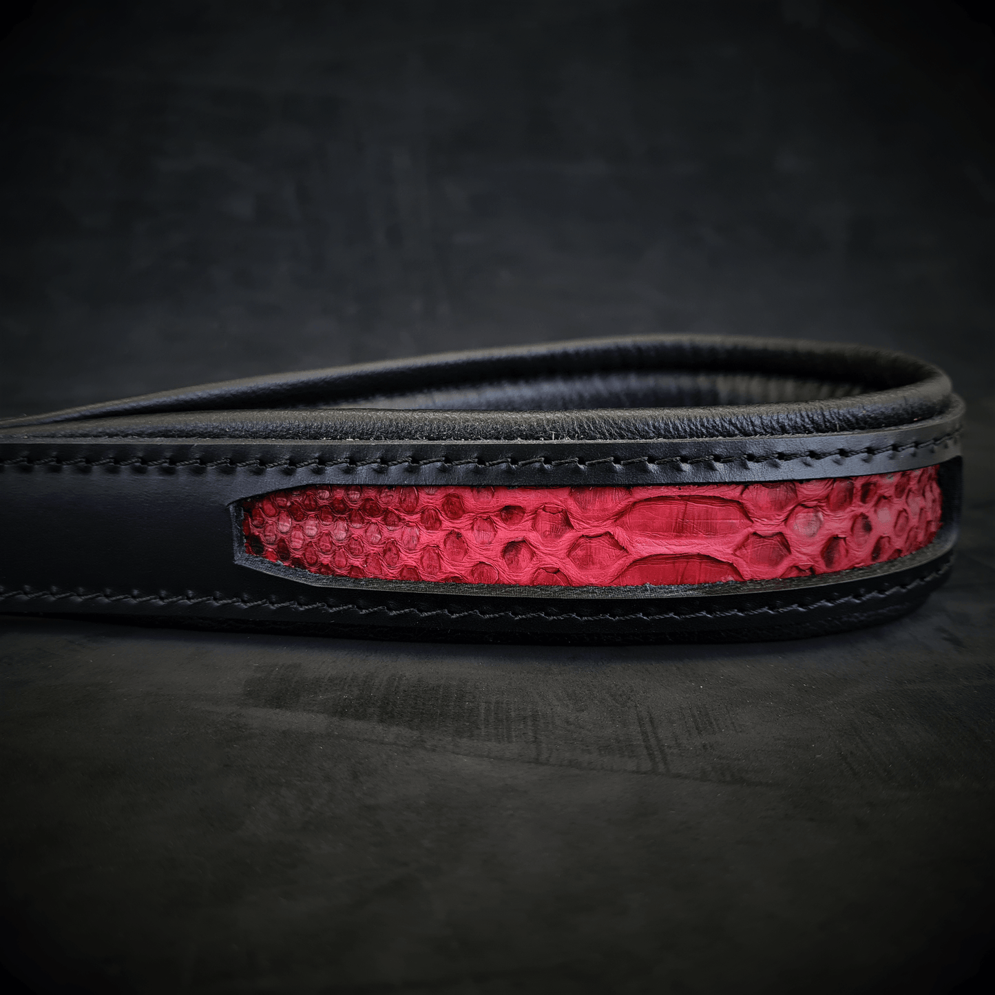 The ''Red Dragon'' leash - Tampa Home & Garden Store