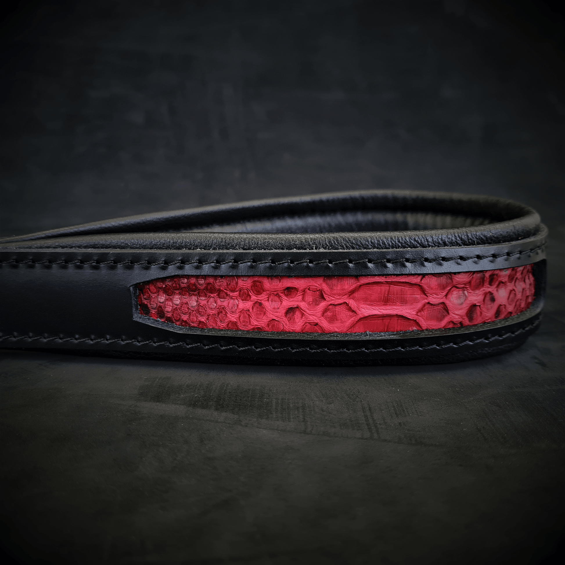 The ''Red Dragon'' leash - Tampa Home & Garden Store