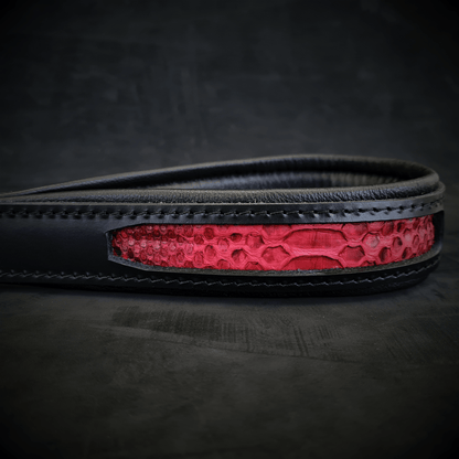 The ''Red Dragon'' leash - Tampa Home & Garden Store