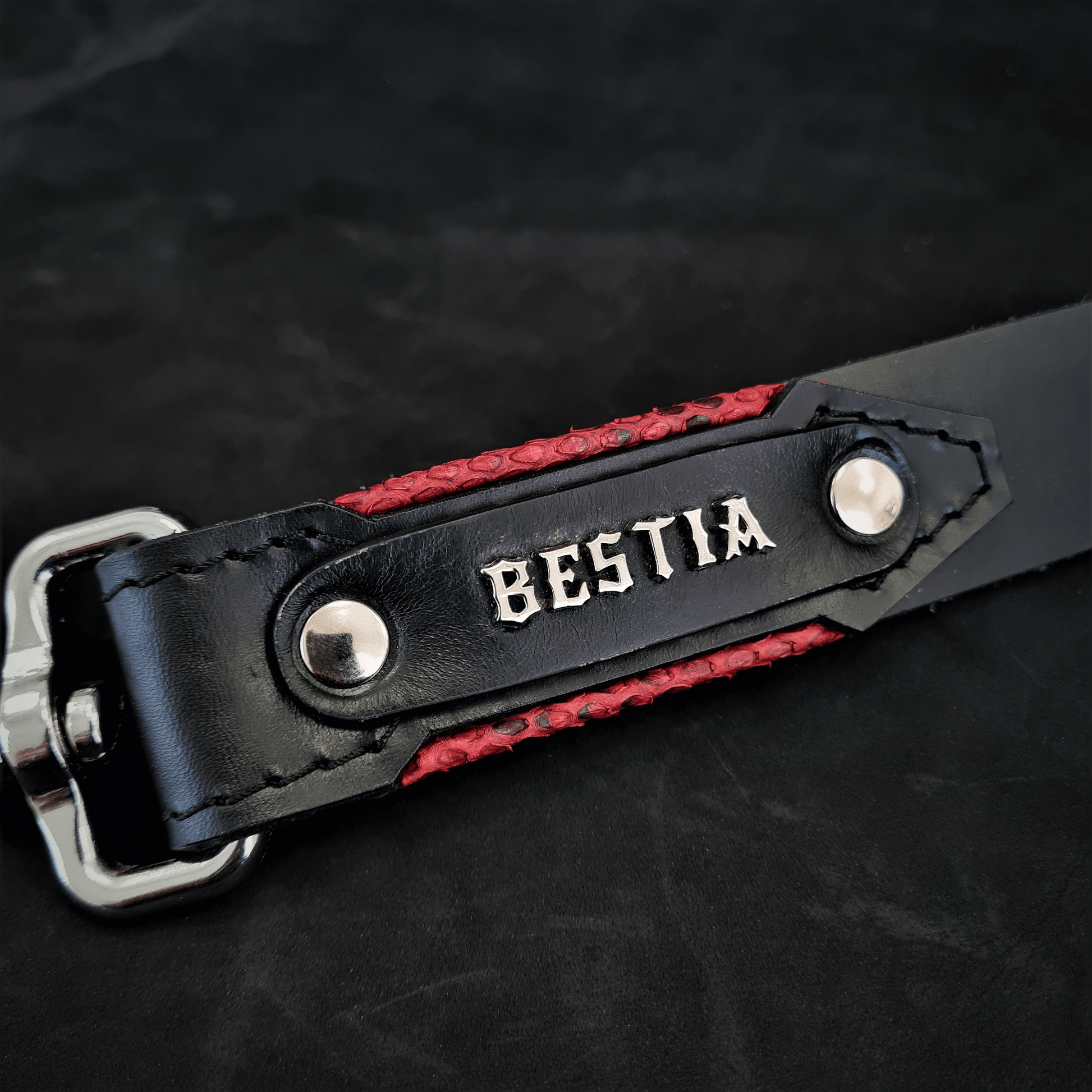 The ''Red Dragon'' leash - Tampa Home & Garden Store