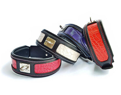 The "Reptile" collar - Tampa Home & Garden Store