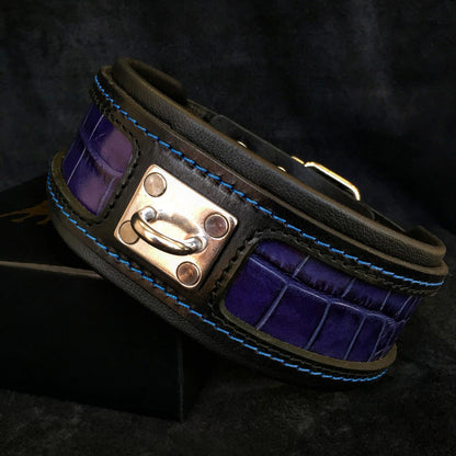 The "Reptile" collar - Tampa Home & Garden Store